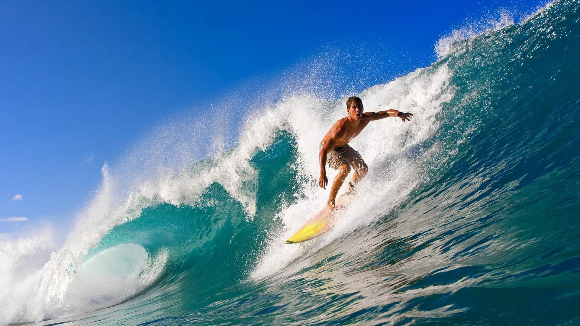 国外运动员的交流经验分享,国外运动员培养